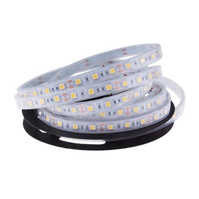 China Decorative lighting 3000k 4000k 6000k 12v 24v led flexible strip smd 5050 LED strips IP68 waterproof rgb led strip for sale