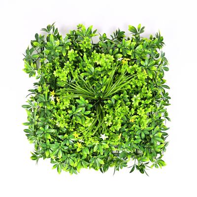 China 50*50High Quality Plastic Artificial Grass Wall Indoor Decoration Outdoor Wall Decoration Garden Layout for sale