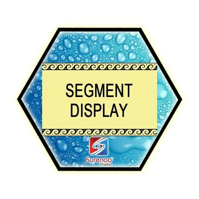 China Surenoo Segment Display LCD Module Series Selection Guide All Size for sale