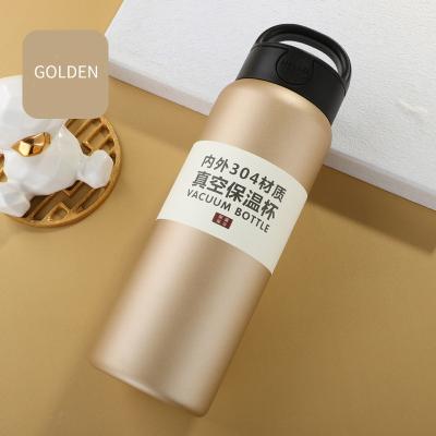 China PORTABLE 750Ml Double Wall Vacuum Insulated Sports Water Bottle Stainless Steel With Handle And Bag for sale