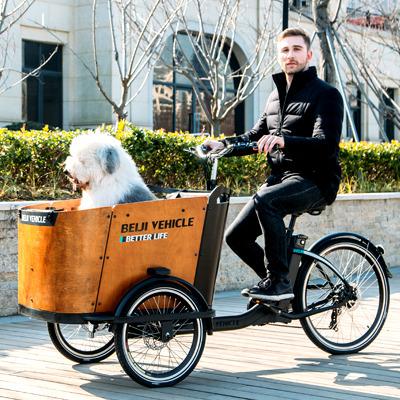 China Electric Cargo Cargo Bike For Plug Dog Ride for sale