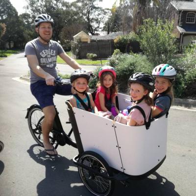 China Cargo Family Cargo Bike With Big Cargo Box for sale