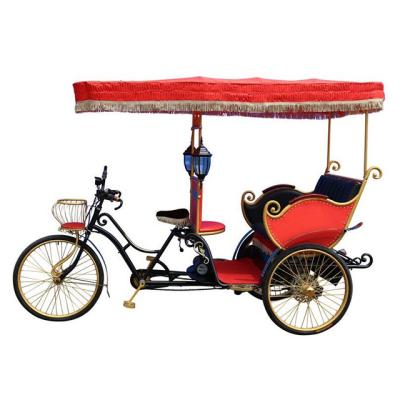 China Passenger Holland Low Cost Family Cargo 3 Wheel Taxi Bike For Kids For Sale for sale