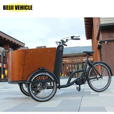 China China Best Electric Adult 3 Wheel Passenger Electric Cargo Bike Used Family for sale