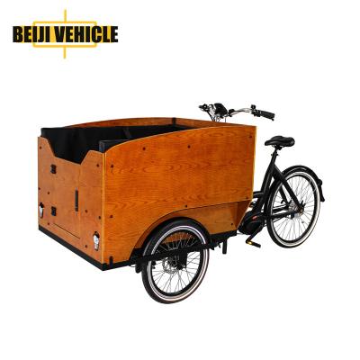 China Aluminum Electric Passenger Cargo Tricycle Bike Cargo Bike Family Use for sale