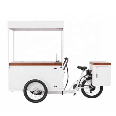 China New Cargo Design 230L Loading Capacity Ice Cream Bike With Solar DC Freezer for sale