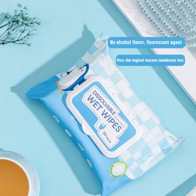 China 50Cts / Factory Wholesale Bag Spunlace Flushable Eco-friendly Biodegradable Nonwoven Toilet Cleaning Cloths for sale