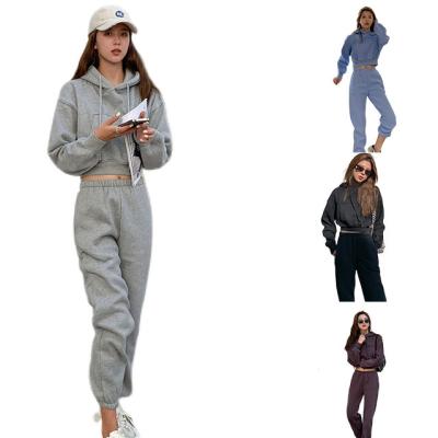 China Anti-pilling spring casual style popular high quality stylish ladies crop top women lane warm-up suit trotter cropped women's sweatshirt hoodi for sale