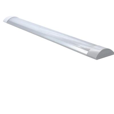 China 2021 Food Storage Daylight Double Row Tube Lights Zhongshan Best Selling Skd Led Batten Lamp for sale