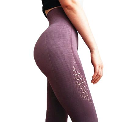 China Seamless Gym Breathable Tights Knit High Waist Leggings Yoga Leggings Sport Stretch Women Yoga Leggings for sale