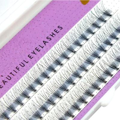 China Feather Korea Fiber 0.07 0.1 Russian 3D Volume Lashes 2D Lashes W Lash Individual Eyelash Extensions 3D 4D 5D 6D 7D 8D 9D Premade Fans for sale