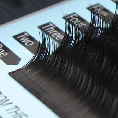 China Long Natural Easy False Mink Volume Lash Extensions Private Fan Eyelash Mark Matte Mega Eyelash Extensions Black for sale