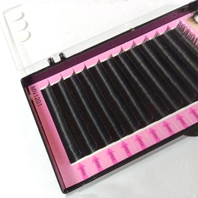 China Plume Matte Black Mega Natural J Since C D L M 0.03 0.05 0.07 PBT Private Label Eyelash Extensions Trays Silk Degradable Licks Different for sale