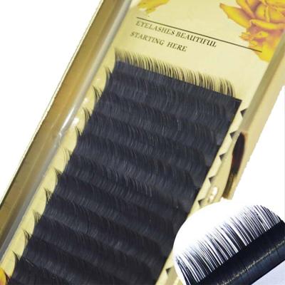 China Feather Eyelash Extensions Material Best Seller Lash Extension Supplies Private Label for sale