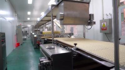 China Full Automatic Snacks Plant YJRX-600 Hard And Soft Biscuit Forming Machinery Biscuit Production Line for sale