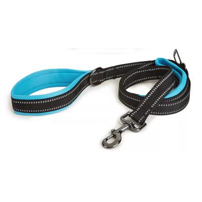 China High Quality Swivel Stocked Pet Supplies Luxury Nylon Reflective Dog Leash Carabiner Waterproof Strong for sale