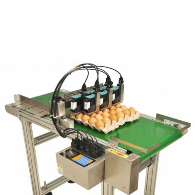 China 6 Heads Online Building Material Stores Automatic Logo Expiry Date Egg Coding Machine with Conveyor Belt for sale