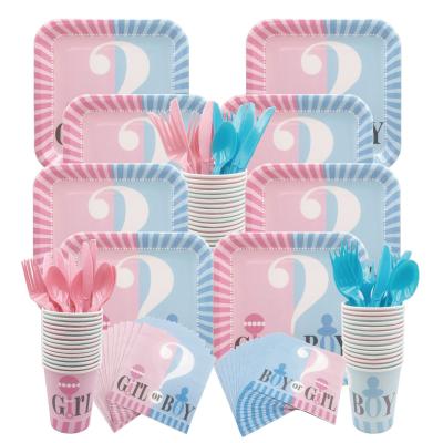 China Gender Reveal Decoration 97pcs Gender Reveal Party Table Supplies Set Boy Or Girl Paper Plate Paper Cup Paper Napkin Set for sale