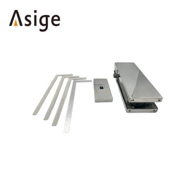 China Modern New hot sale pit free floor spring conceals automatic closing frame door floor spring for sale