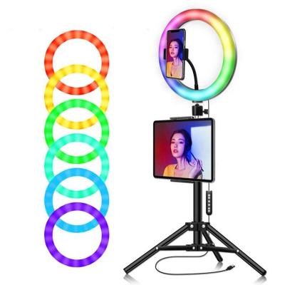 China Adjustable Color Tempurate RGB Iridescent Lamp 14