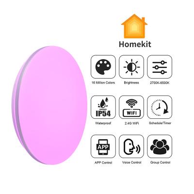 China Modern Dimmable Ceiling Light Tuya Wifi Lamp TDC Amazon Alexa Google Home Smart Phone Post-modern Smart Adjustable LED Voice Control for sale