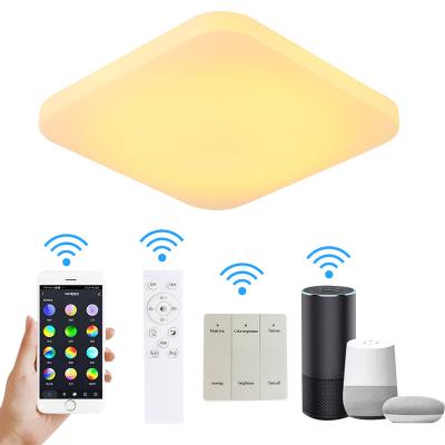 China Modern Decorative Indoor Lighting Smart Home Wifi Lamparas de techo Colorful Ceiling Lamp Around Simple Tuya RGB Decorative Ceiling Light 48W for sale