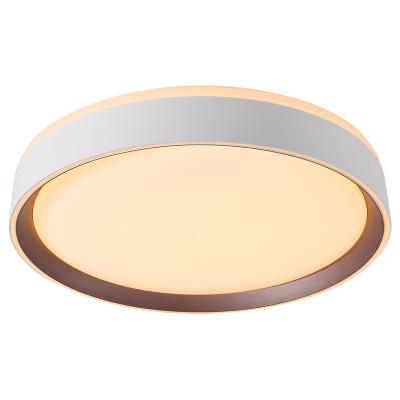 China 45W Modern Vintage Indoor Decorative Lighting Flush Mounted Flush Ceiling Night Lights Smart Ultra Thin Wifi RGB Tuya Voice Embedded Dimming Lights For Ceiling for sale