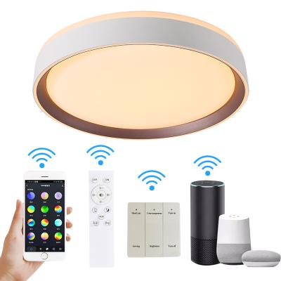 China 2022 Children's living room retro OEM retro ceiling lamp china decorative indoor lighting smart led classic children's light dimmable modern nordic hotel spot for sale