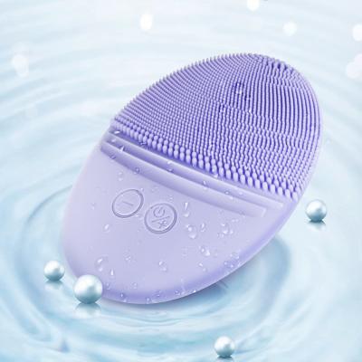 China Acne Treatment Waterproof Face Wash Brush Electric Ultrasonic Facial Cleansing Brush USB Massager for sale