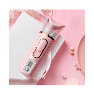 China Professional Multifunctional Face Steamer Machine Apparatus Motor Moisturizer Pink Moisturizing Steamer Facial Steamer for sale