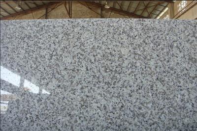 China Natural G439 Snow grey , white flower Granite Stone Slabs , kitchen granite tiles for sale