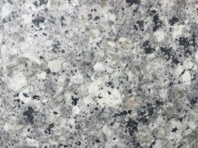 China Pearl White Granite Kitchen Island top , Bullnose granite kitchen countertops for sale