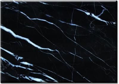 China Nero Margiua Black cleaning marble floor tiles 12 x 12 16 x 16 24 x 24 for sale