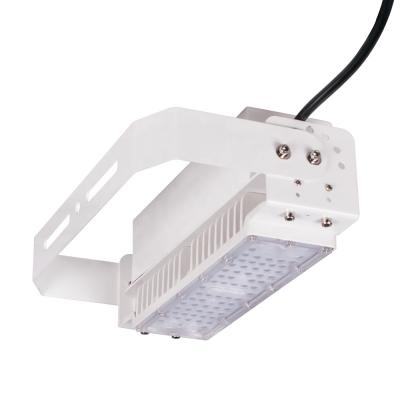 China Aluminum+Glass Cover Factory Sales 130lm Watt 50W 100w Waterproof Spotlight Lights Led Tunnel Light for sale