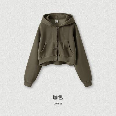 China Anti-Wrinkle Customized Hoodies 2022 Autumn And Winter Heavyweight 380G Washed Plush Zipper Hoodies Warm Girl Short Women's Hoodies Retro for sale