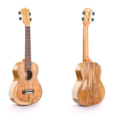 China Wholesale Spalted Maple 26 inch spalted maple wood concert electric ukulele with armrest for sale