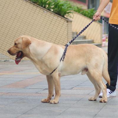 China DETACHED Premium Quality Rope Pet Climbing Leash and Collar Personalized Dog Slip Lead Eco-Friendly Durable Durable Leash for sale