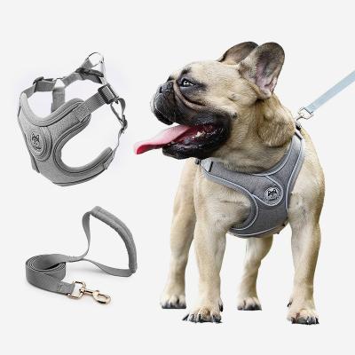 China Quick Release Dog Rope Leash and High Quality Soft Harness Two in One Slip Lead Leash for Dog Training Leash for Small Dog Puppy for sale