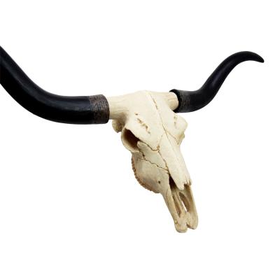 China Wholesale Europe Cow Bull Decoration Mounted Stuff For Restaurant Resin Animal Wall Art Home Hanging Decor for sale