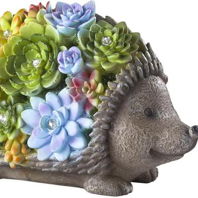 China Europe Hedgehog Succulents Colorful Resin Solar Lighted Animal Statue Yard and Garden Accent with Bright White LED Lights for sale