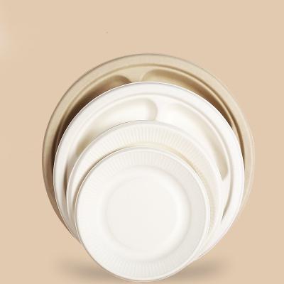 China 2022 New Store Painting Disc Bagasse Sugar Cane Contemporary Decorative Disposable Dishes Hot Manual Pulp Mold for sale