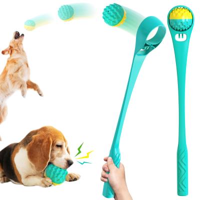 China Eco-friendly Sustainable High Standard Outdoor Strong Interactive Ball Dog Toy First Class for sale