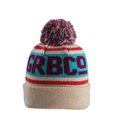 China Factory COMMON Sale Custom Winter Knitted Beanie Hat With Pom for sale