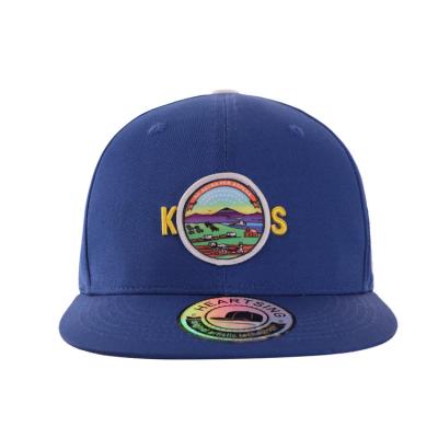 China Wholesale COMMON Logo Baseball Cap Discounted New Design Embroidery Custom Made Logo Fitted Caps Snapback Cap for sale