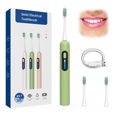 China Teeth Cleaning New Wholesale Rechargeable Ultrasonic Head Electric Adult Deep Cleaning Electric Toothbrush For Adult for sale