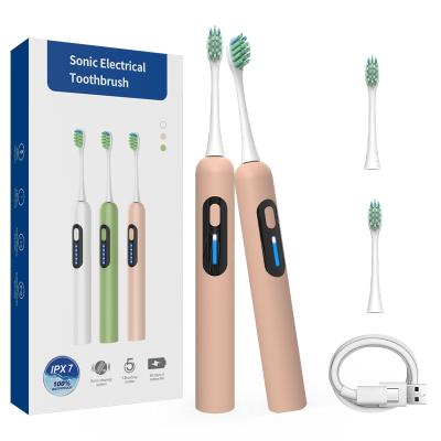 China New Usb Charging Ultrasonic Head Wholesal Electric Adult Deep Cleaning Rechargeable Electric Toothbrush For Adult for sale