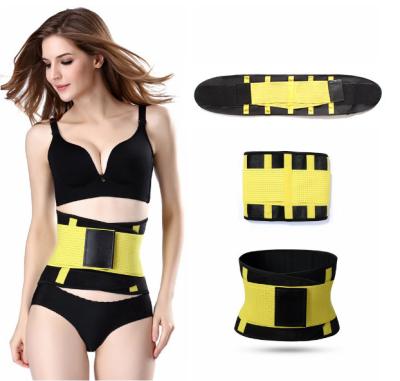 China 7 Colors Antibacterial Neoprene Zipper Body Shaper Sports Belt Waist Trainer Belt For Belly Weight Loss for sale