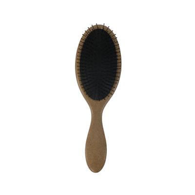 China Coconut Plant Fiber Detangler Waterproof Biodegradable Wet Original Hair Brush for sale