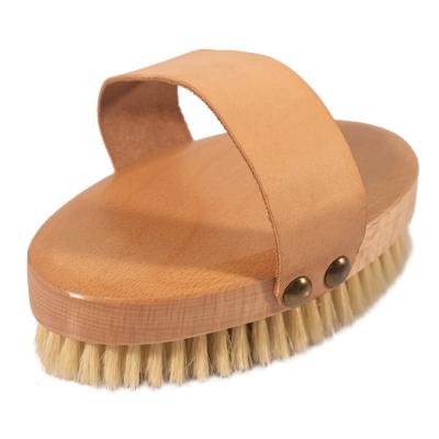 China All Natural High Quality Pet Bath Brush Massage Body Bath Brush for sale