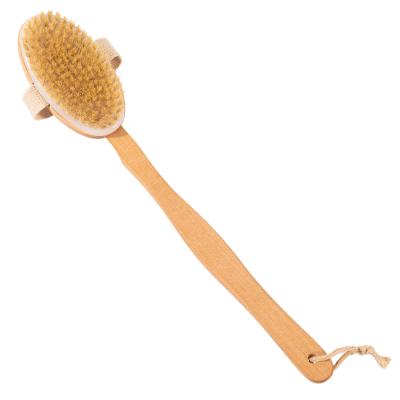 China All Natural 2021 New Design Bath Cleaning Brushes Long Handle for sale